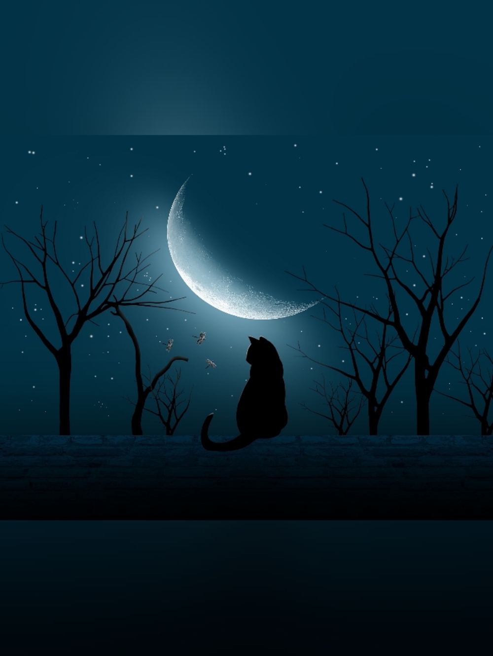 Black Cat Large Custom Fridge Magnet Home Kitchen Decor